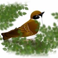 ユーザーアイコン