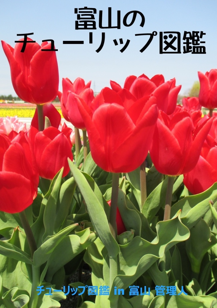 富山のチューリップ図鑑 パブー 電子書籍作成 販売プラットフォーム