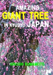 AMAZING  GIANT  TREE  IN  KYUSYU  JAPAN