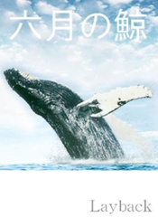 六月の鯨