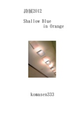 詩展2012 Shallow Blue in Orange