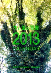 2013年木と葉の写真カレンダー