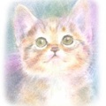 ユーザーアイコン